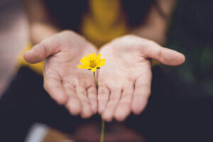 The Importance and Benefits of Holistic Practices in Substance Use Treatment